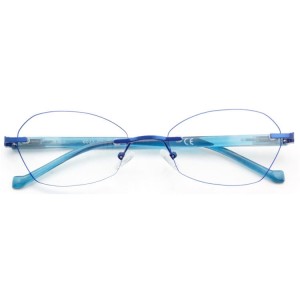 Reading Glasses